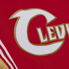 Cleveland Cavaliers #23 Lebron James 2003-04 NBA Hardwood Classics Swingman Jersey Red Mitchell & Ness