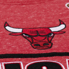 Chicago Bulls Crew Neck Fleece Vintage Logo By Mitchell & Ness