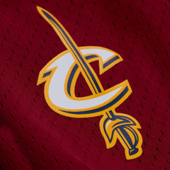 Close-up of a sports team logo on a maroon background