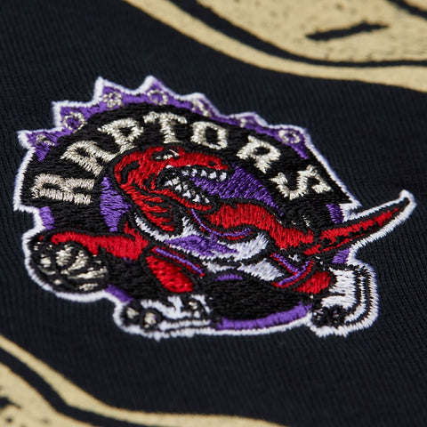 Vince Carter Toronto Raptors Vintage Tshirt