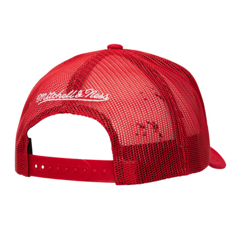 Chicago Bulls Trucker Hat