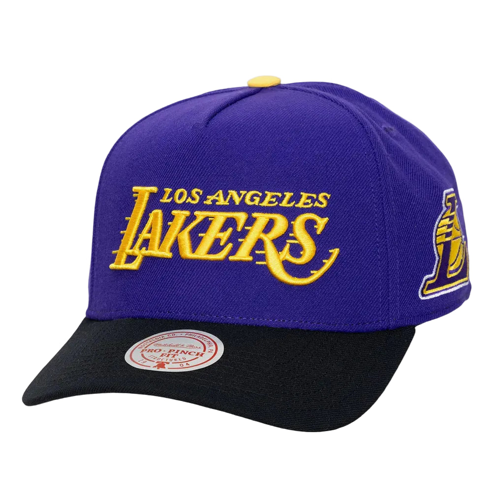 Los Angeles Lakers cap with purple and black color scheme on a white background