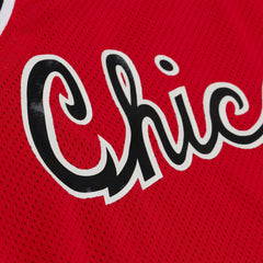 Mitchell & Ness Chicago Bulls #23 Michael Jordan 1984-85 NBA Hardwood Classic Authentic Jersey Red