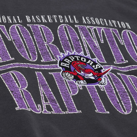 NBA Downtown Crew Fleece Toronto Raptors